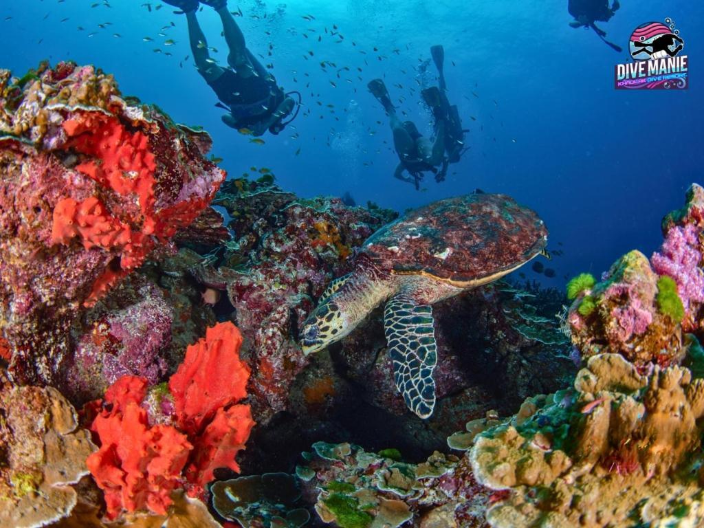 Khaolak Dive Resort Khao Lak Eksteriør billede