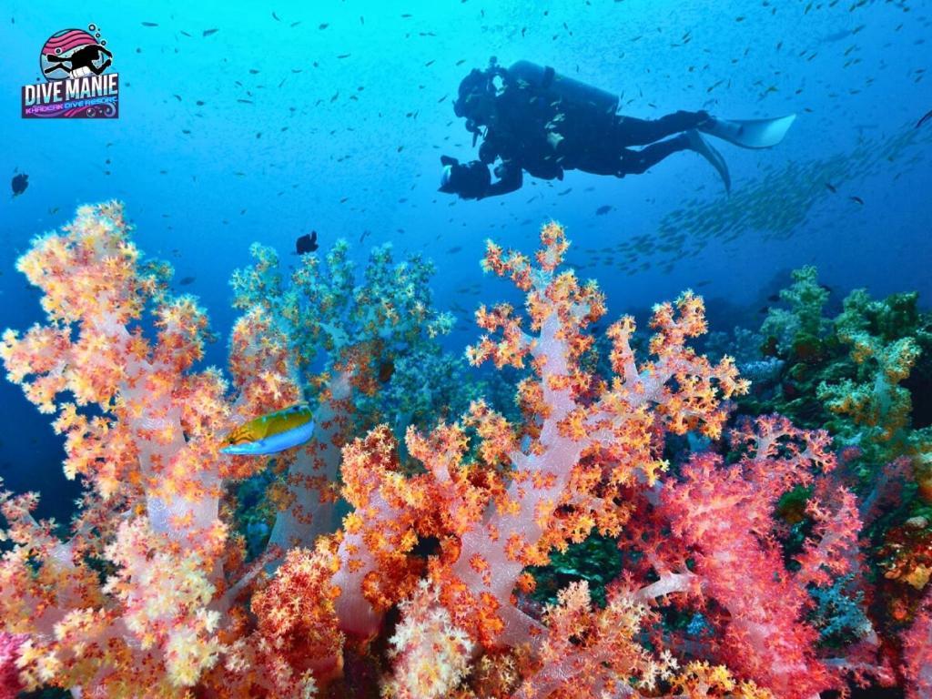 Khaolak Dive Resort Khao Lak Eksteriør billede