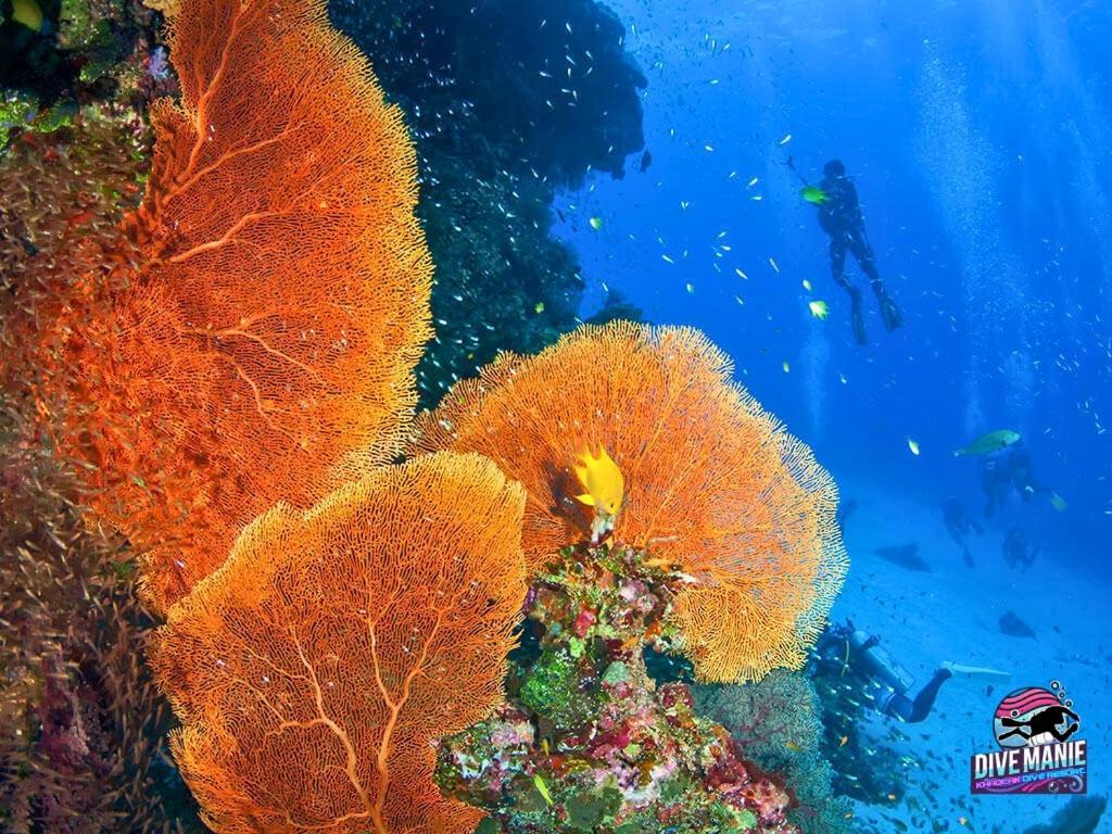 Khaolak Dive Resort Khao Lak Eksteriør billede